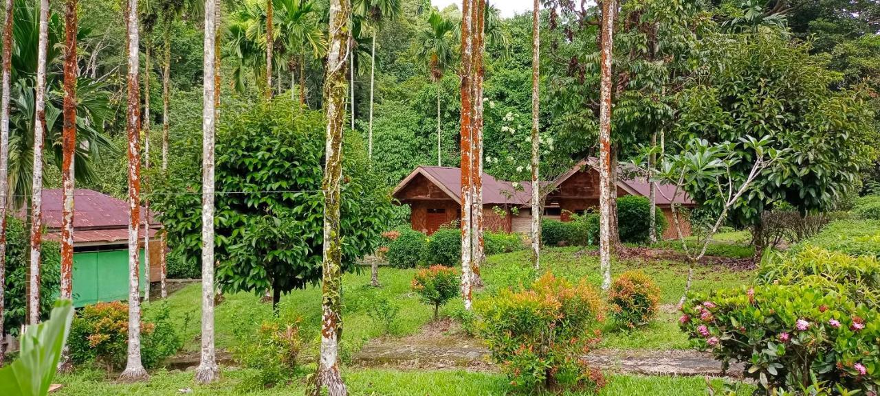 Green Lodge Tangkahan Екстериор снимка