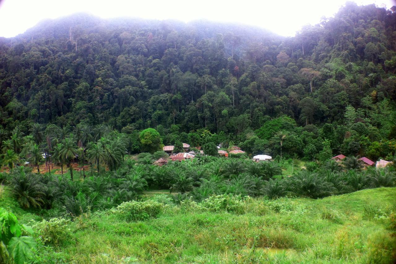 Green Lodge Tangkahan Екстериор снимка