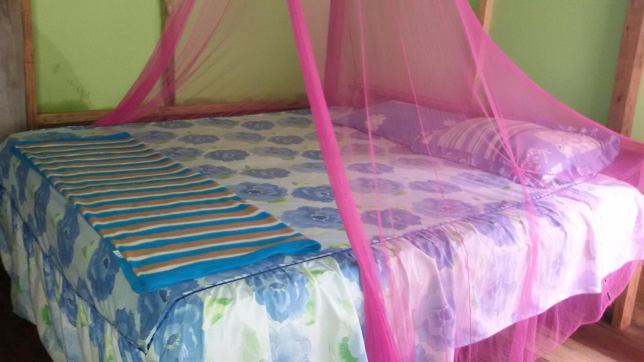 Green Lodge Tangkahan Екстериор снимка
