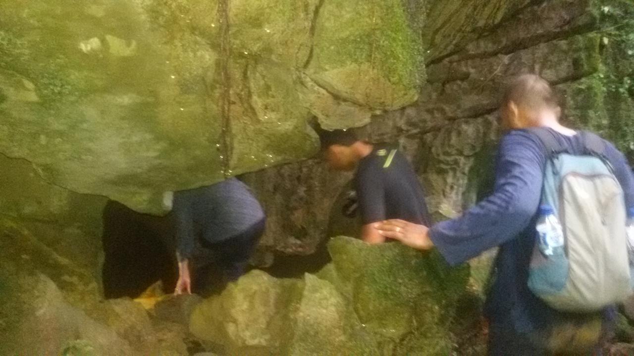 Green Lodge Tangkahan Екстериор снимка