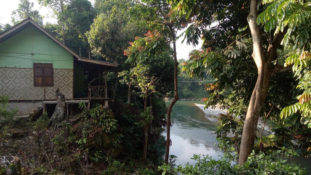 Green Lodge Tangkahan Екстериор снимка