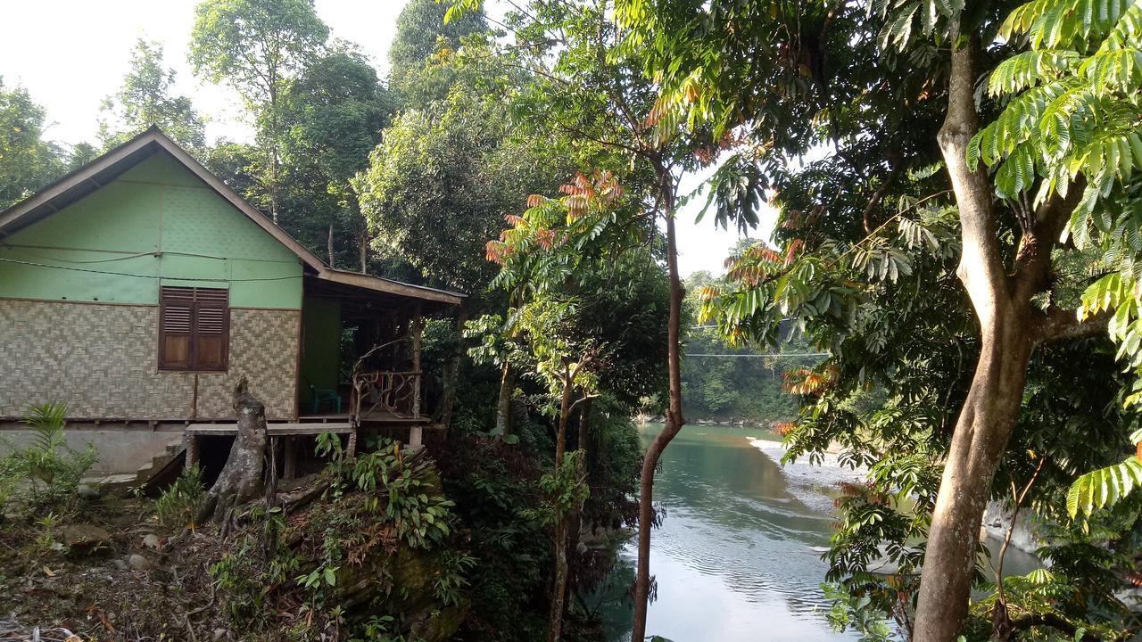 Green Lodge Tangkahan Екстериор снимка