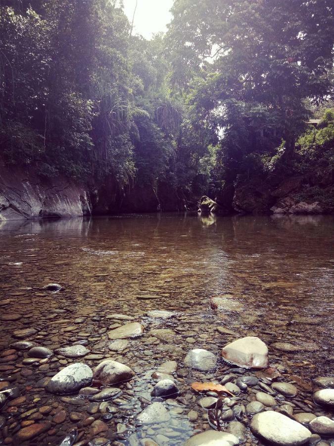 Green Lodge Tangkahan Екстериор снимка